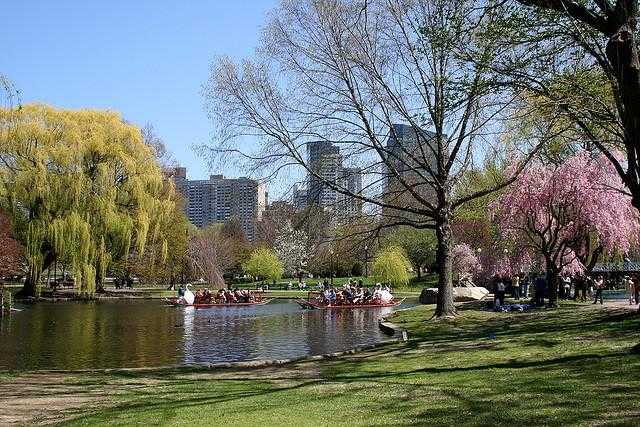 boston common